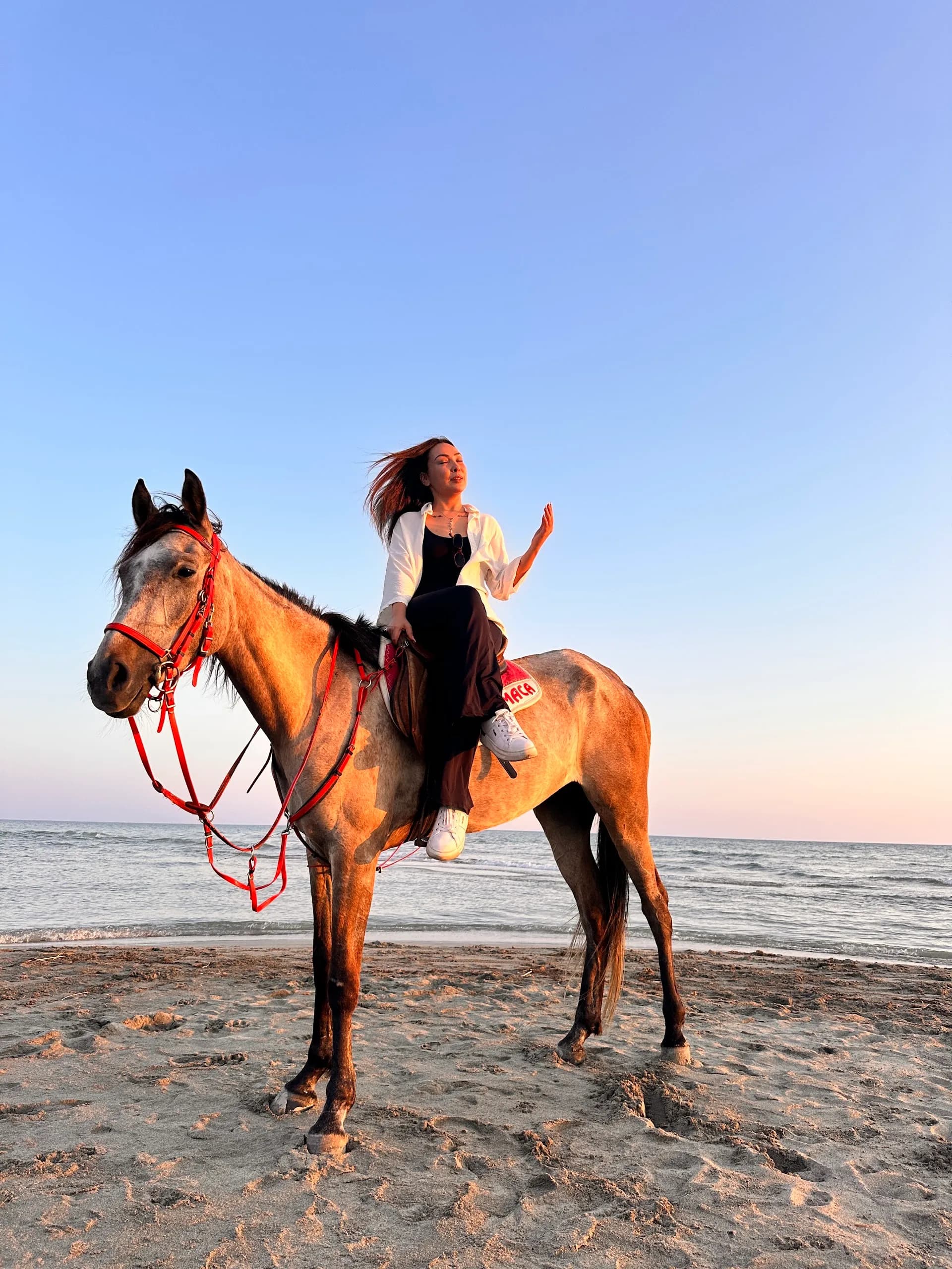 Patara horse club