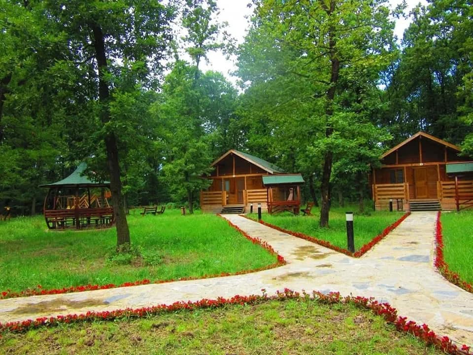 Sakarya İl Ormanı Tabiat Parkı 2