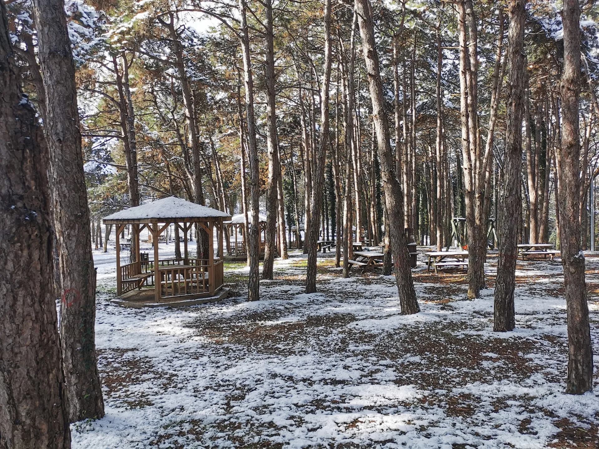 Sakarya İl Ormanı Tabiat Parkı 3