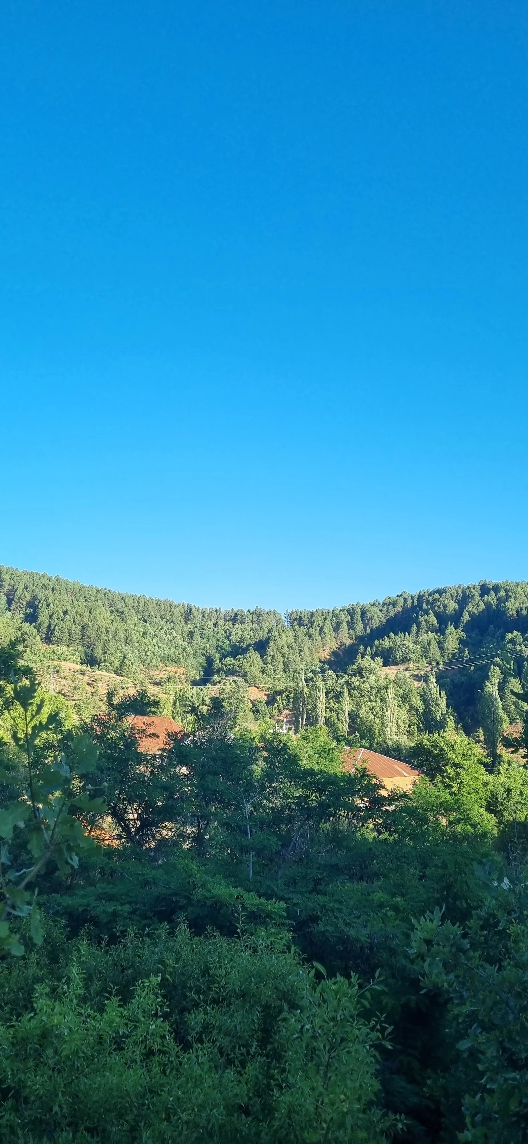Tepehan Merkez