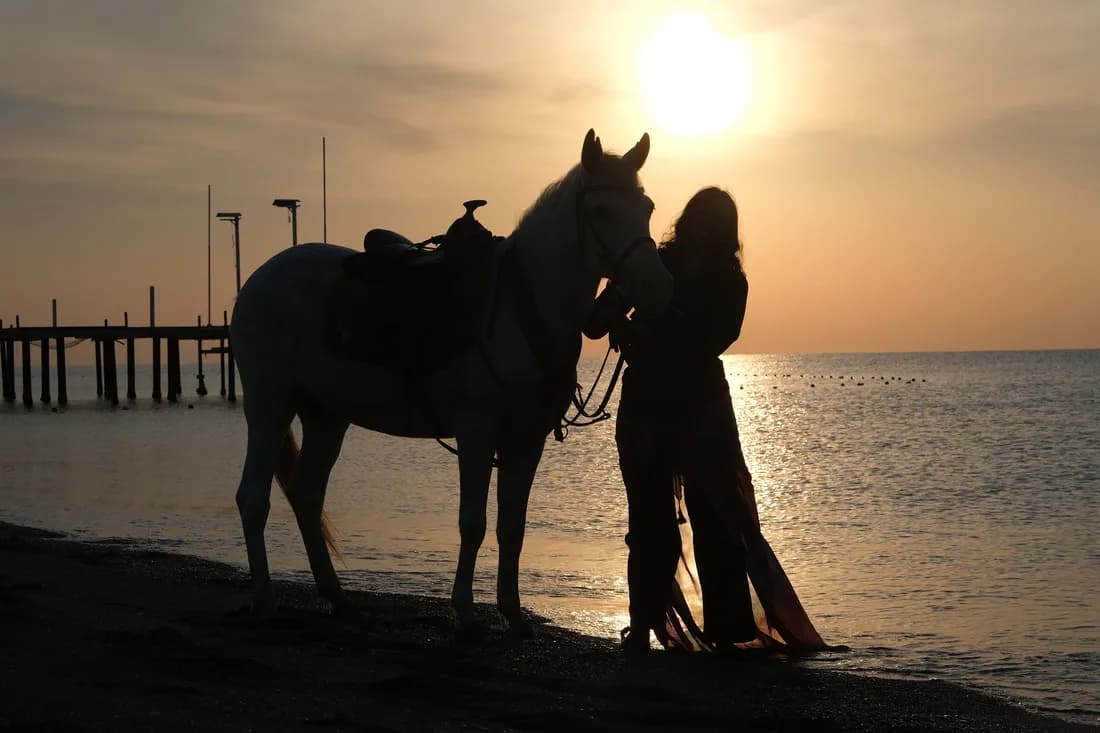 Horse Farm At Safari Antalya