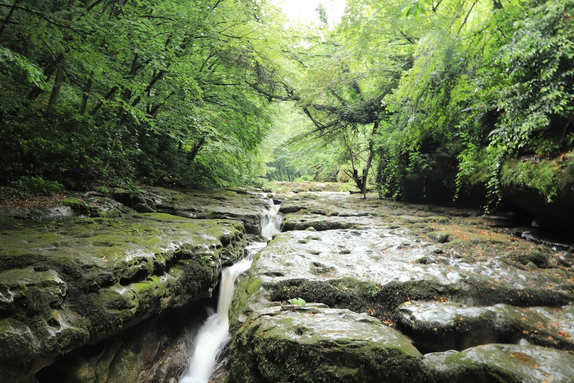 Harmankaya Şelalesi
