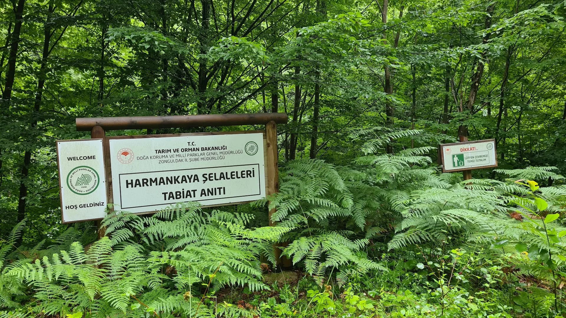 Harmankaya Şelalesi 2