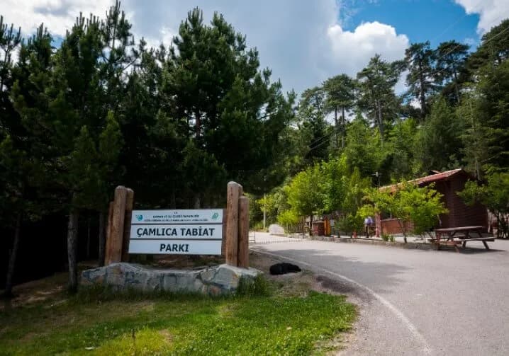 Çamlıca Tabiat Parkı 3