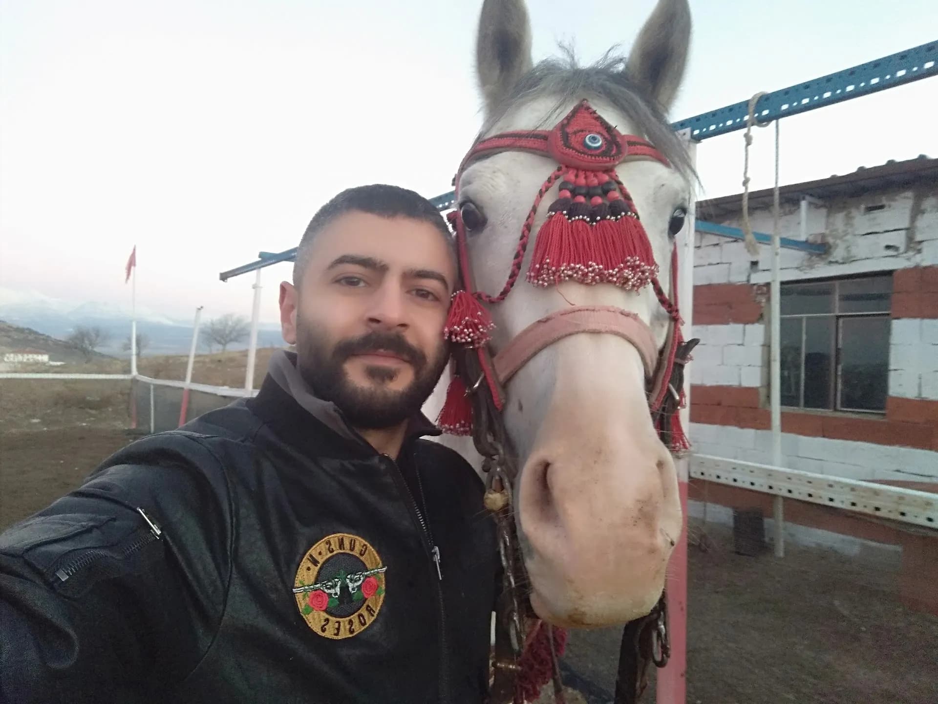 Isparta Safari At Biniciliği