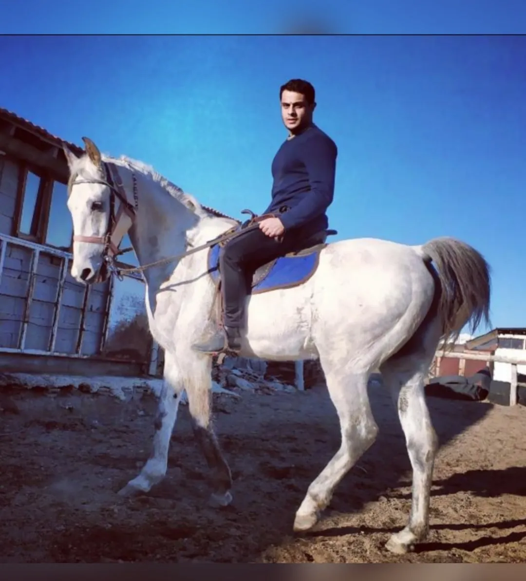 Isparta Safari At Biniciliği 2