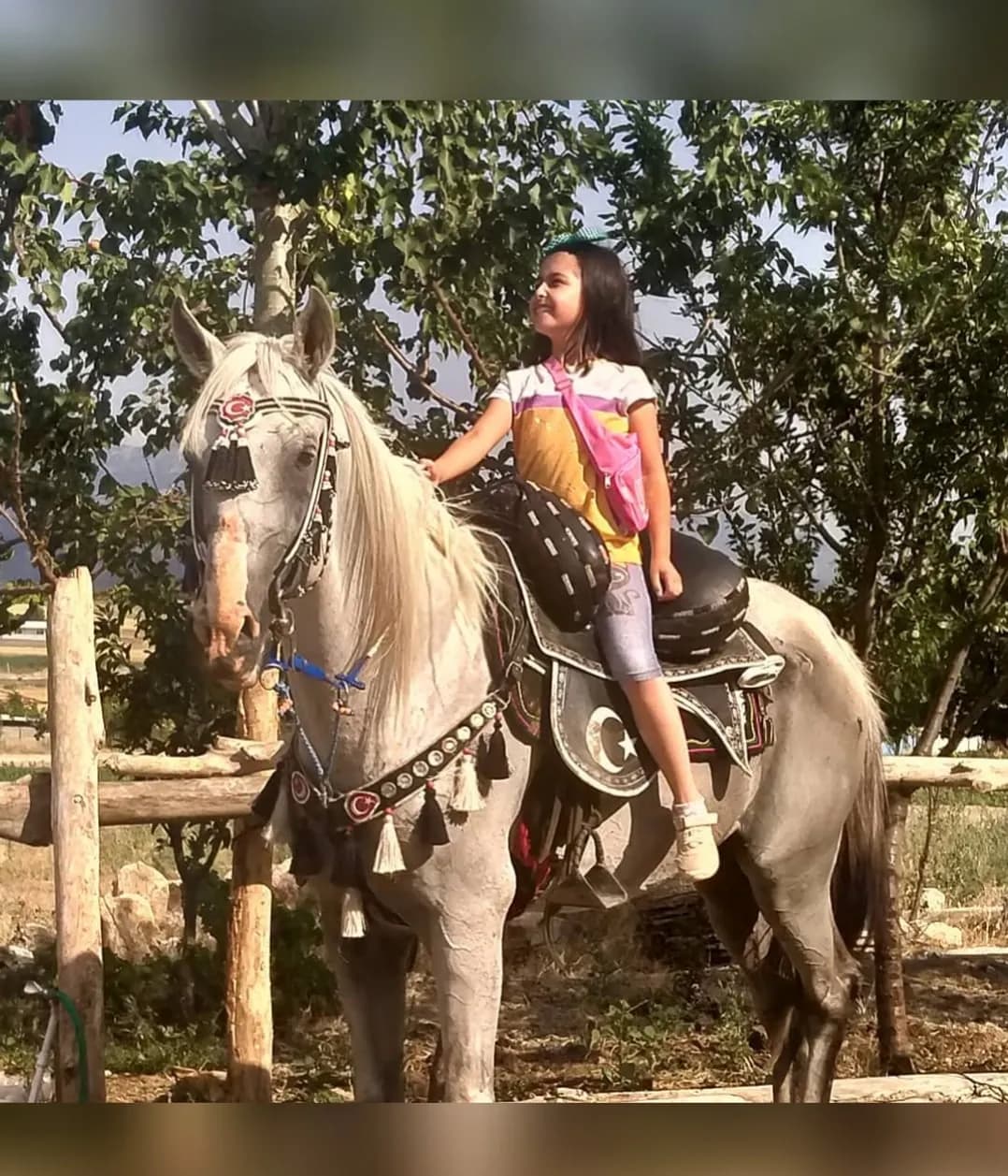 Isparta Safari At Biniciliği 3