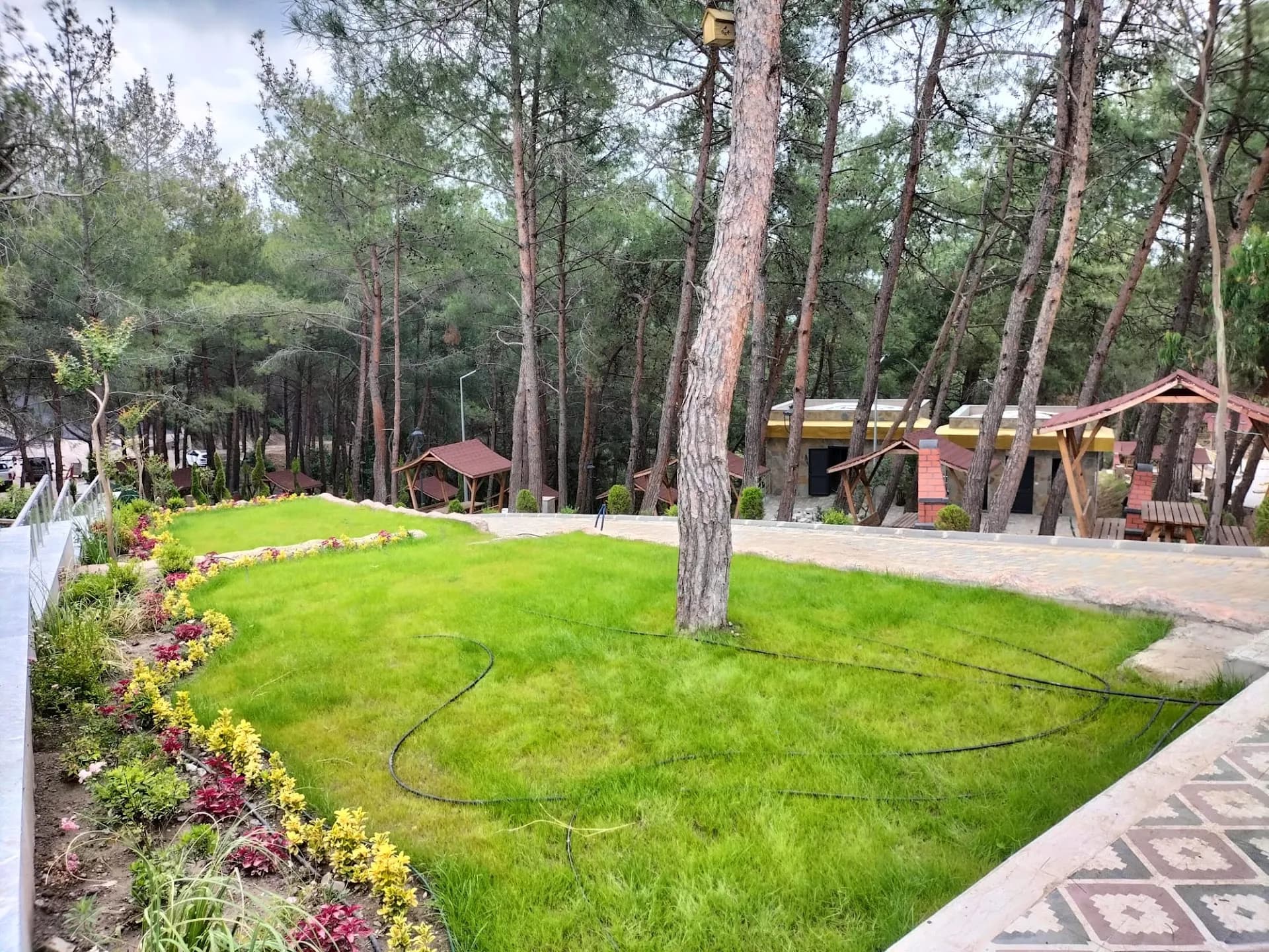 Şahin Tepesi Tabiat Parkı 2