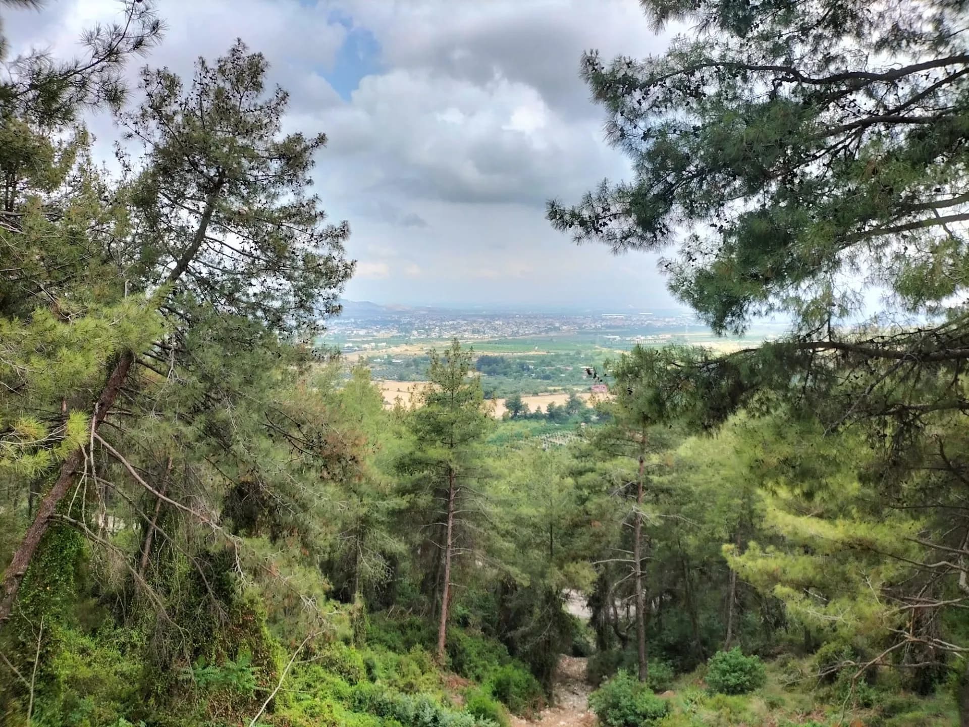 Şahin Tepesi Tabiat Parkı 3