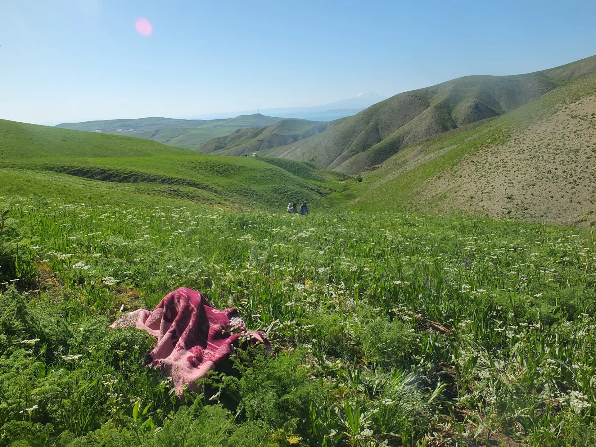 Çamış daği yaylası