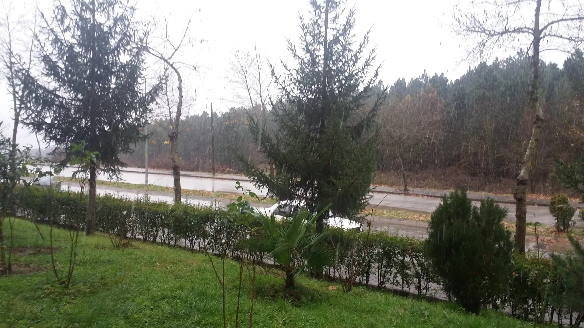 Düzce Kent Ormanı
