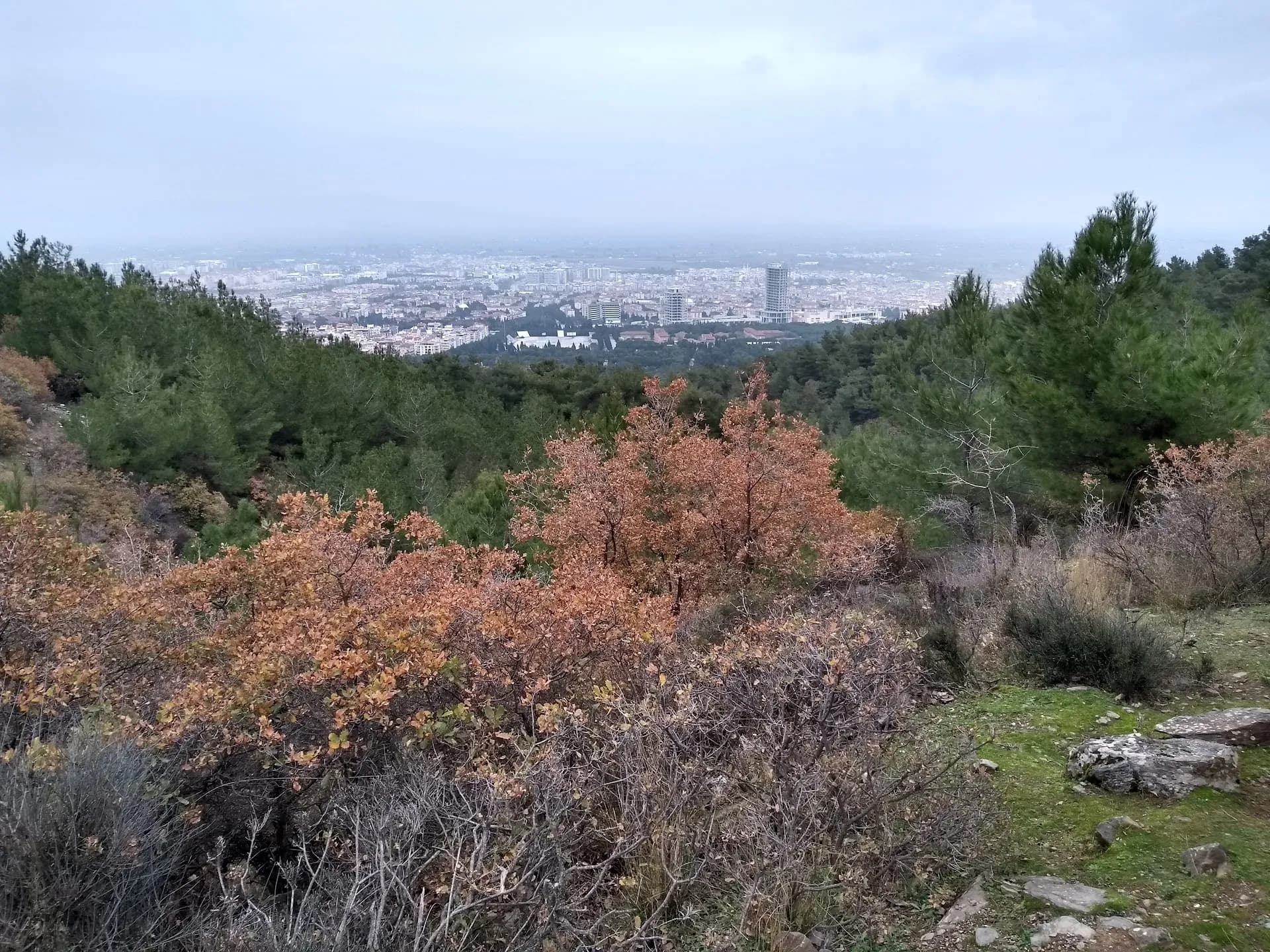 Manisa Kent Ormanı