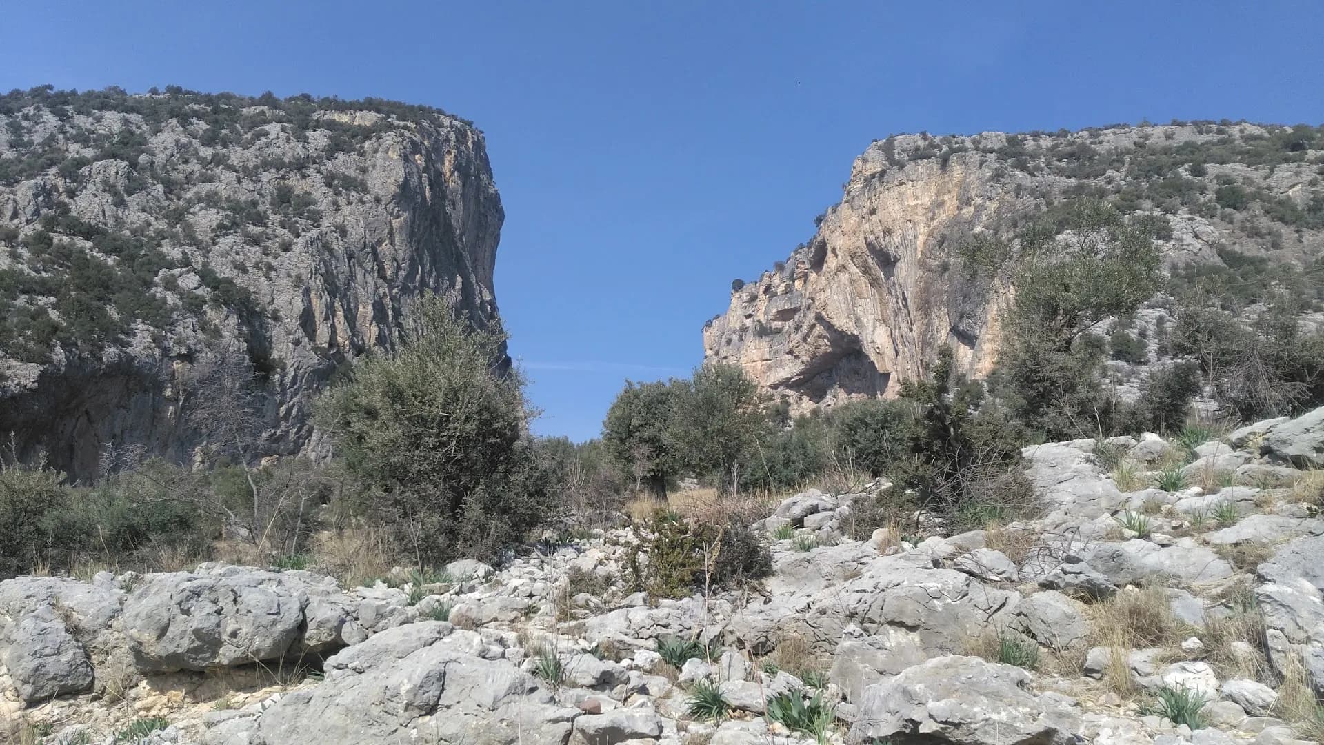 Gapız