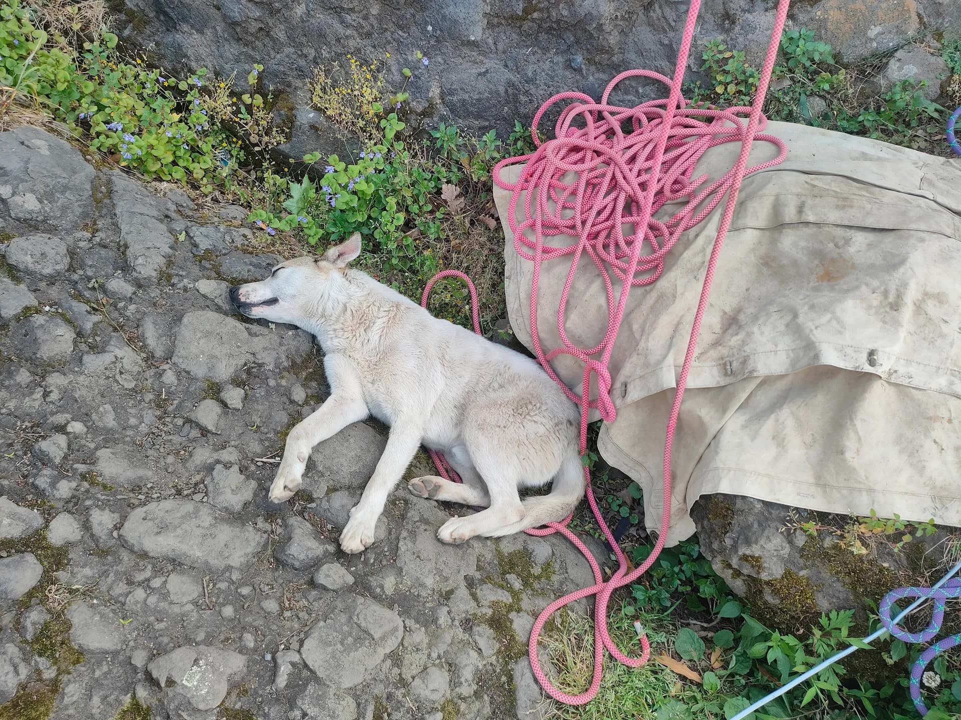 Rock climbing with Adjara Peak