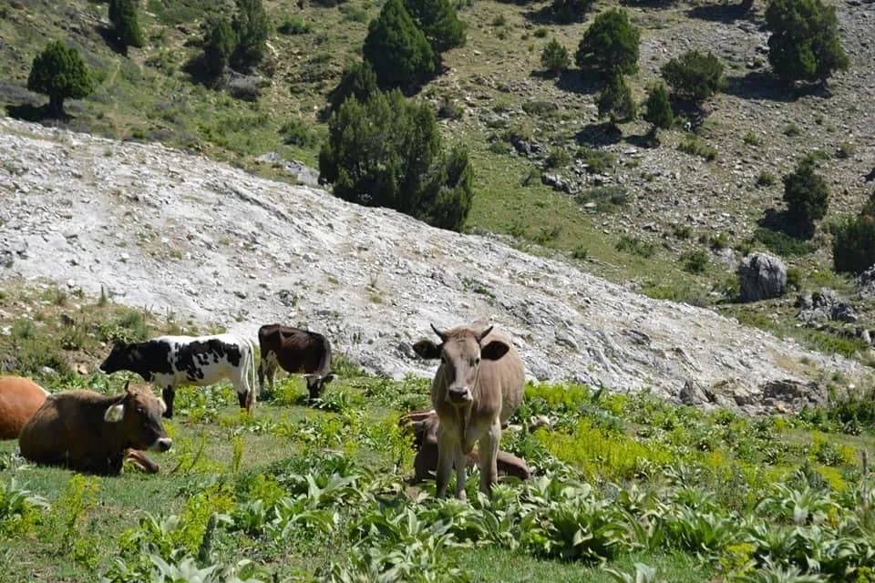 Akdağ Zirve 2