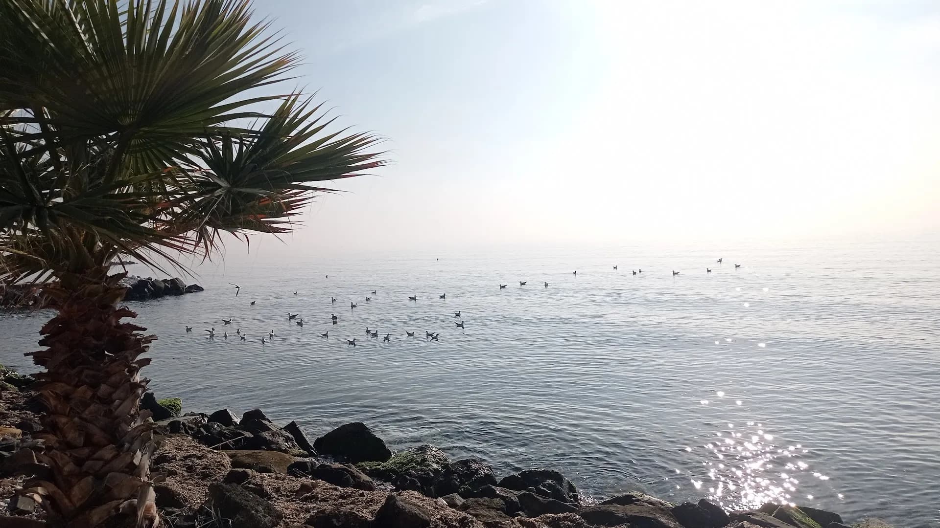 Tekirdağ Alkaya