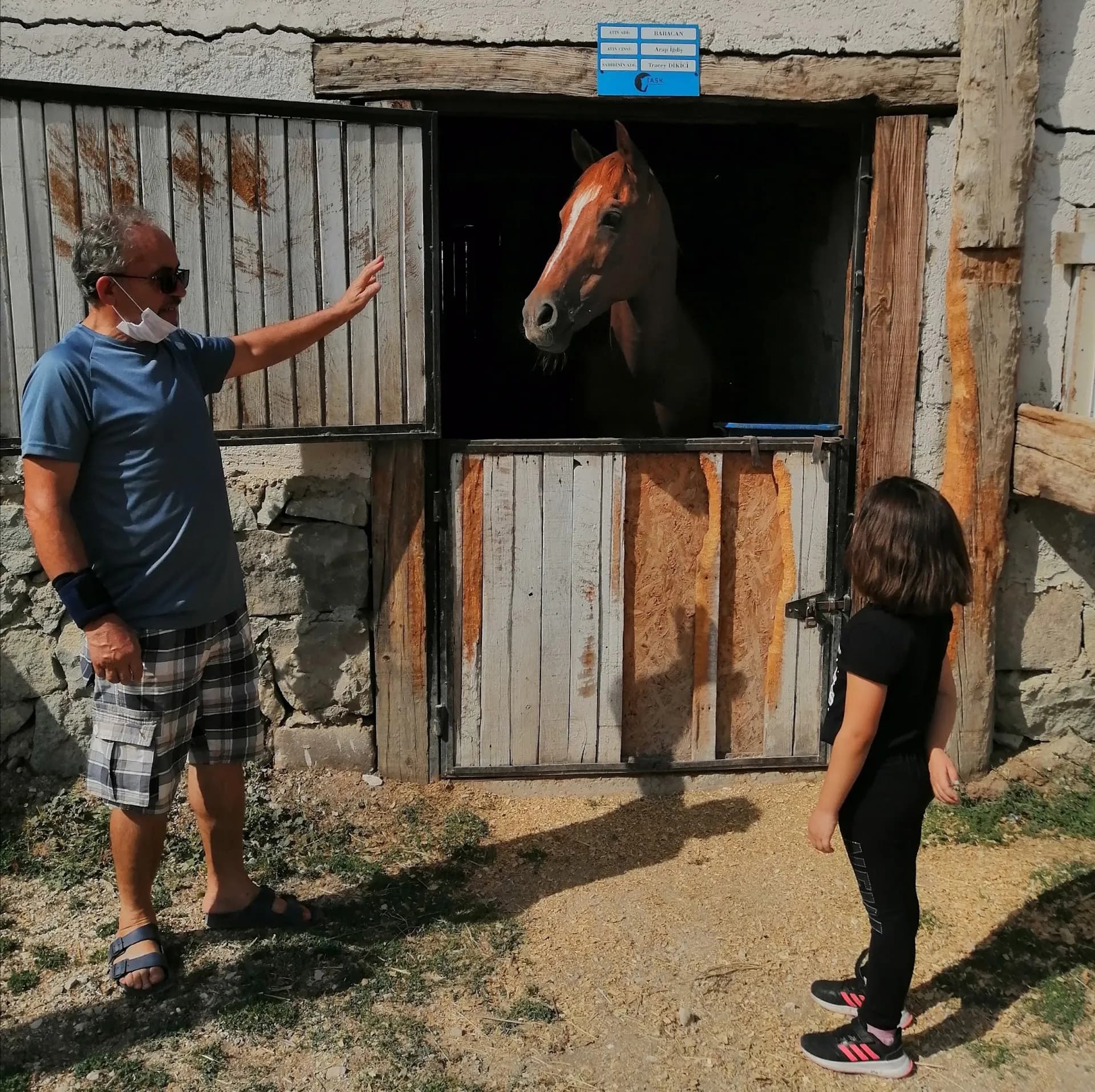 Isparta Atlı Spor Kulübü - At Çiftliği 2