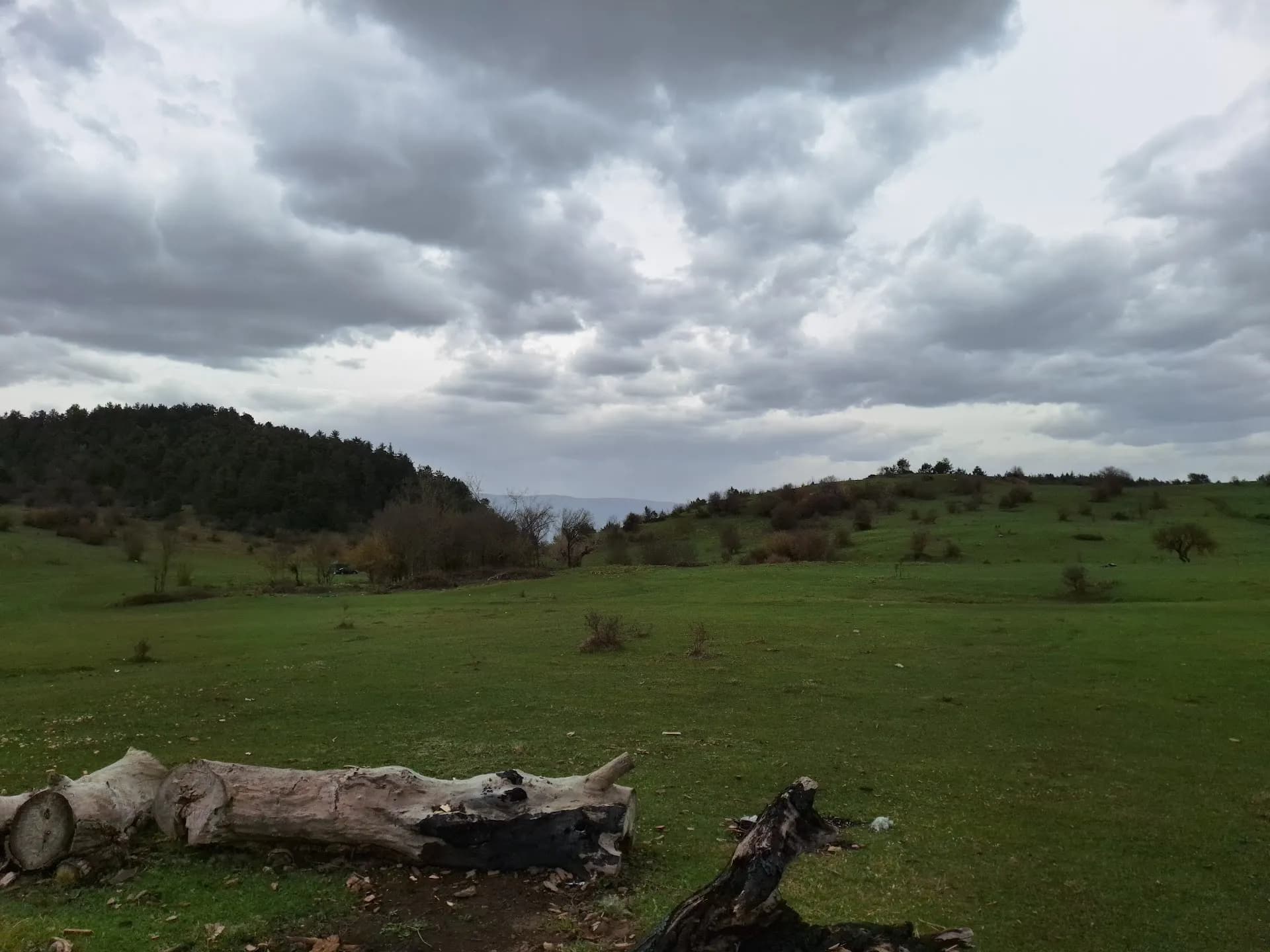 feo düzlüğü