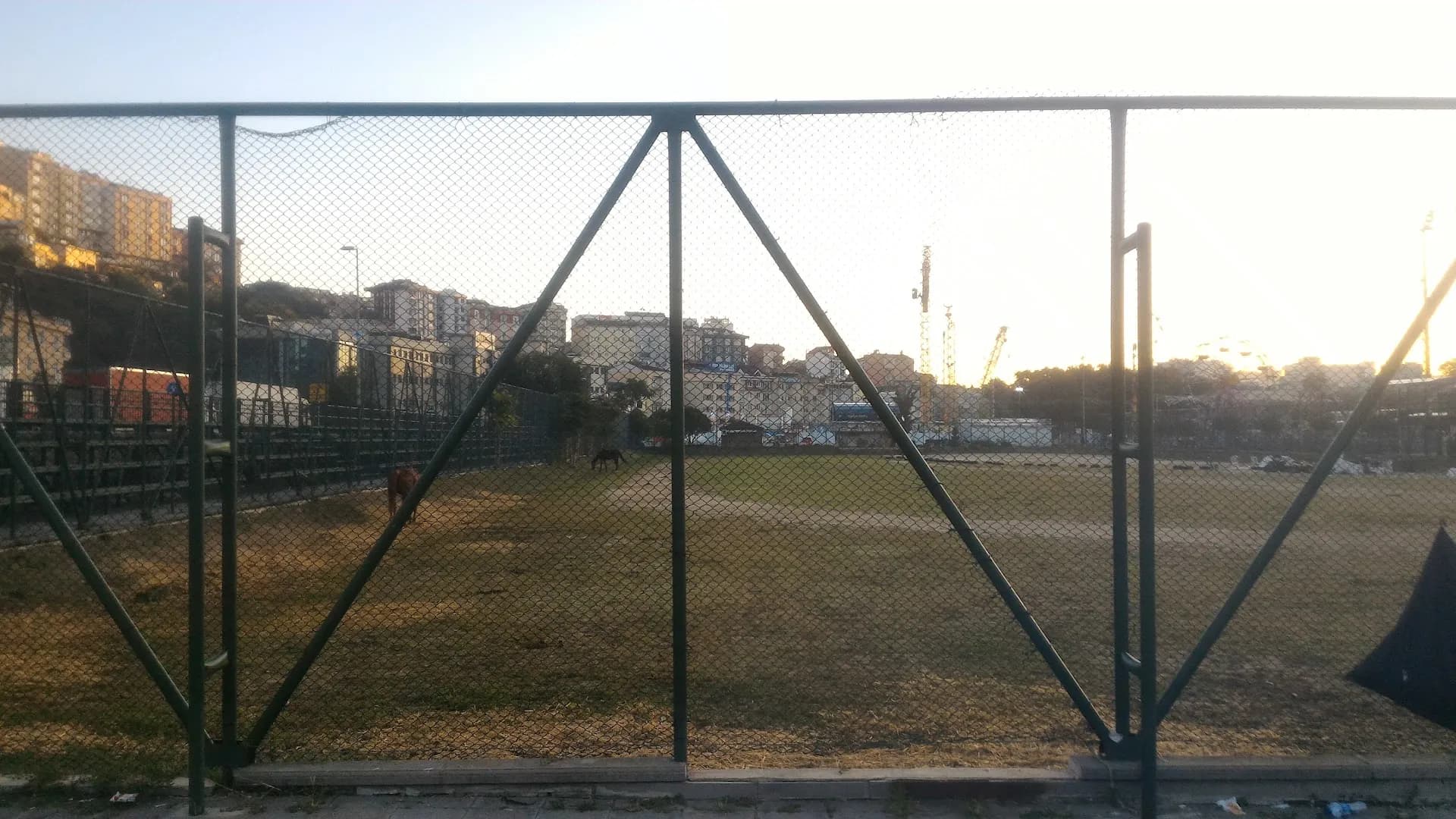Hasbahçe Park, At Binme