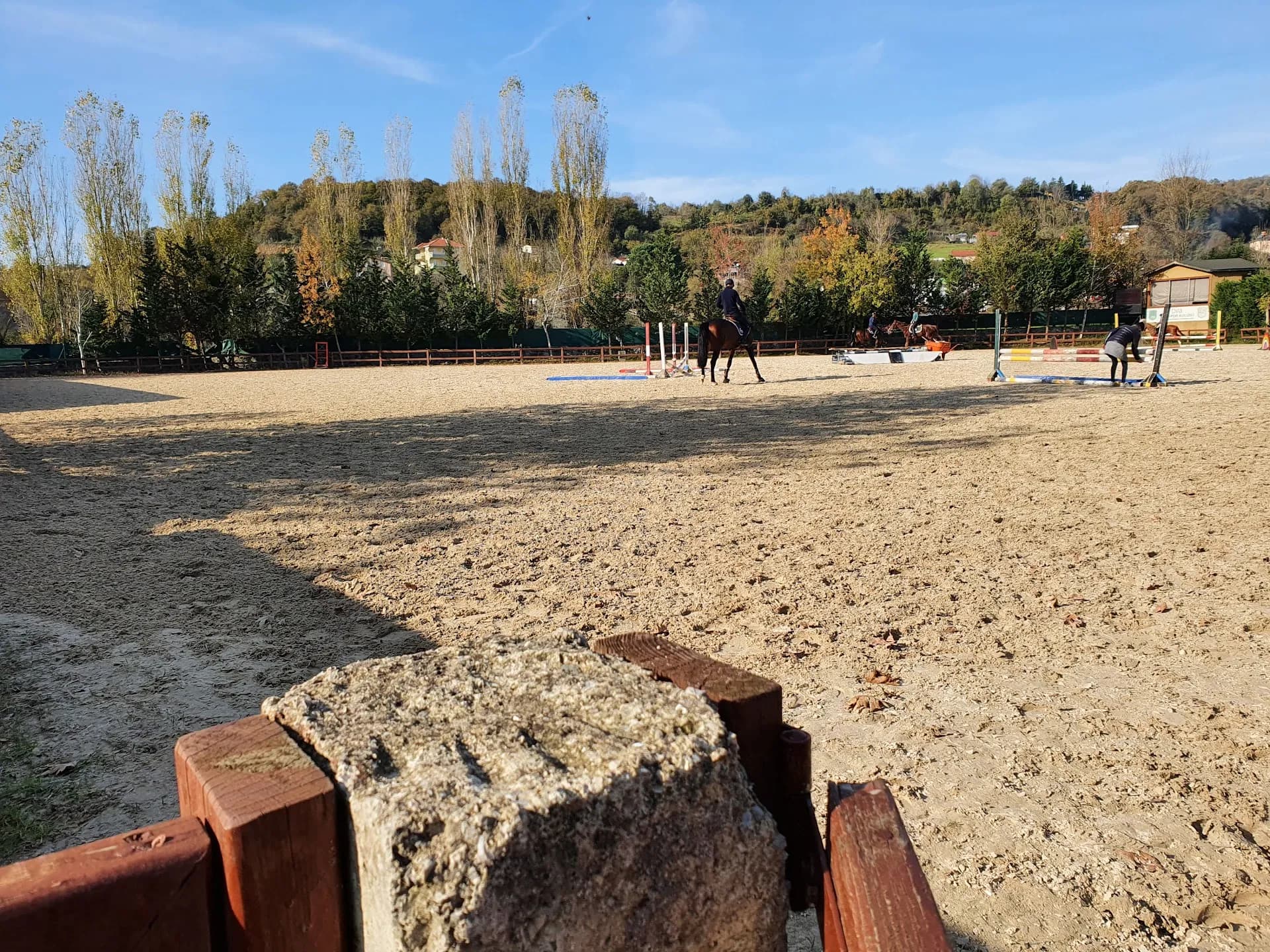 Dila Atlı Spor Kulübü 3