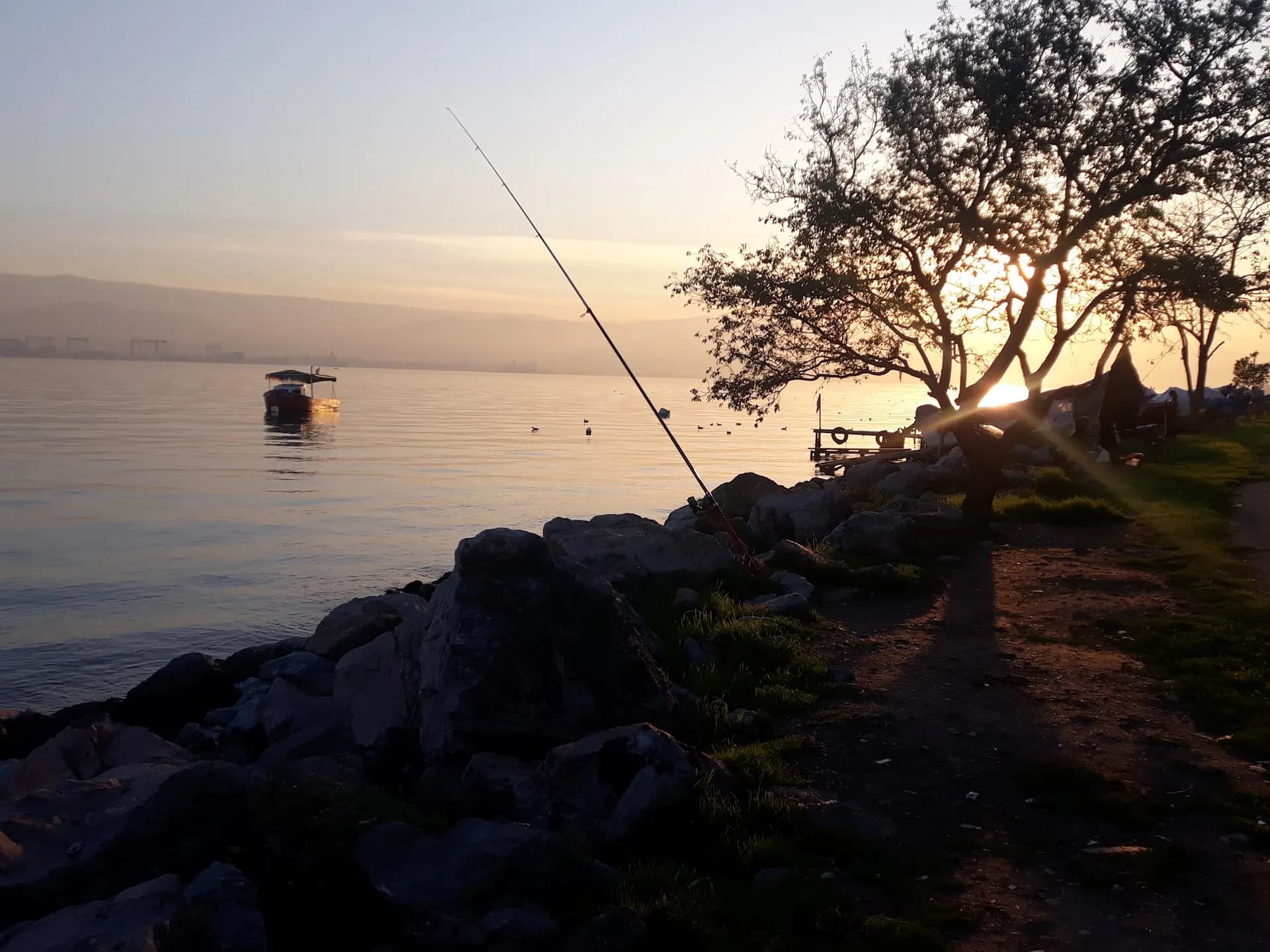 Kocaeli Pruva Kürek 2