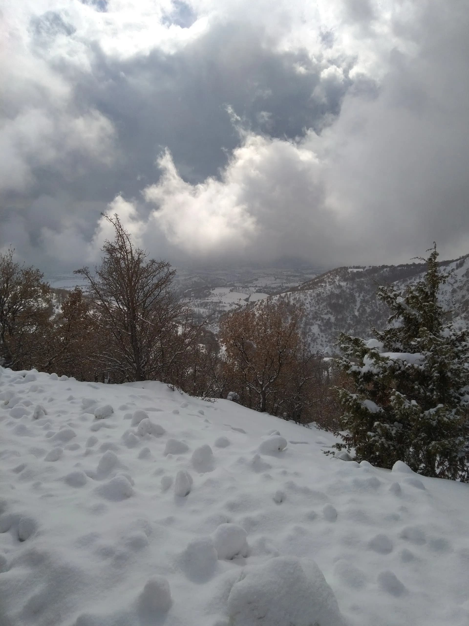Çamdere Yaylası