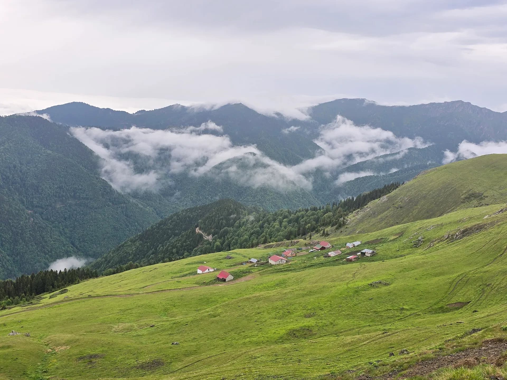 Suluca yaylası