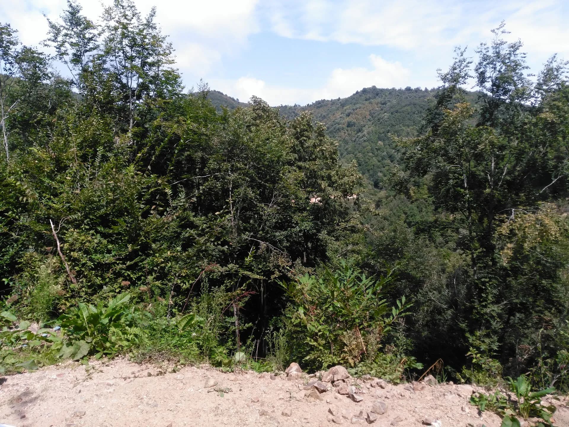 Harmankaya Kanyonu Tabiat Parkı 2