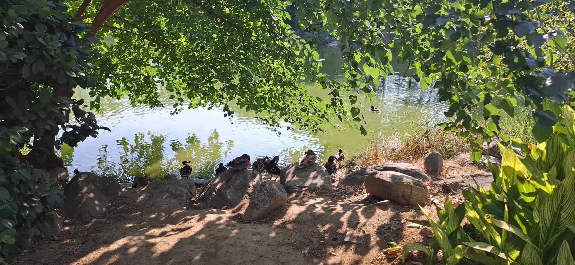 Soğanli botanik park 2
