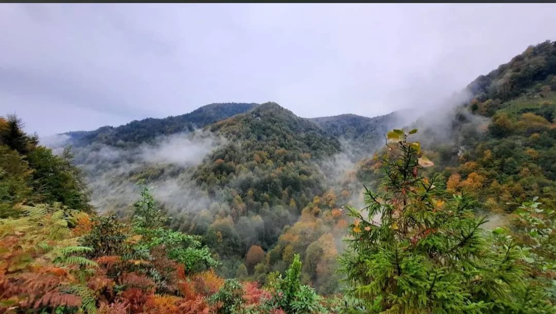 Akyamaç Şelalesi Tabiat Parkı