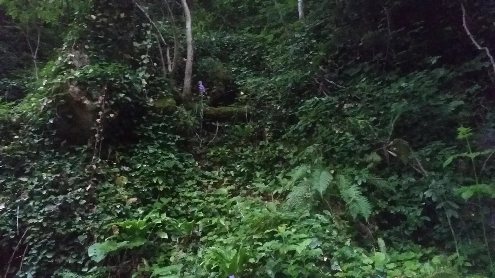 Çağlayandibi Şelalesi Tabiat Parkı
