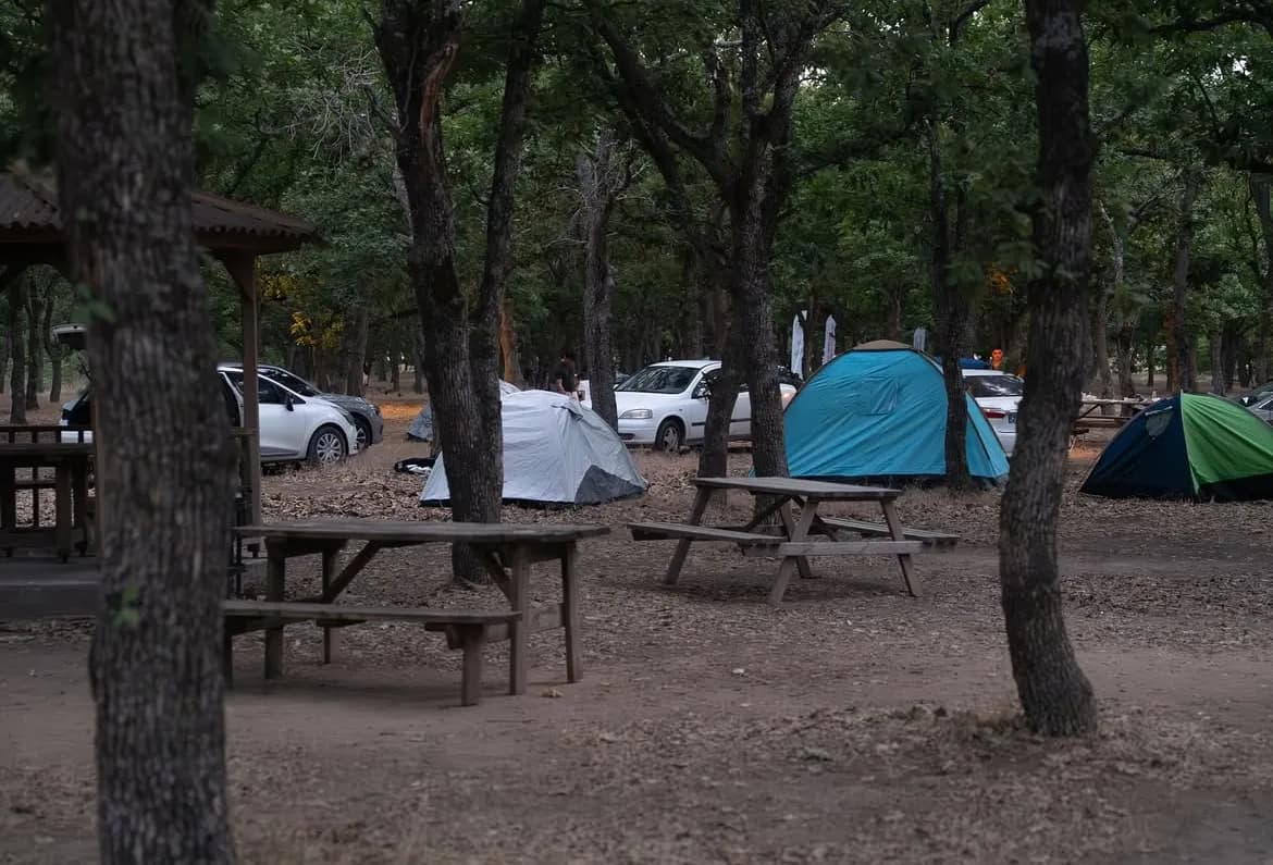 Nurgaz Kavaklı Meşe Korusu Milli Parkı