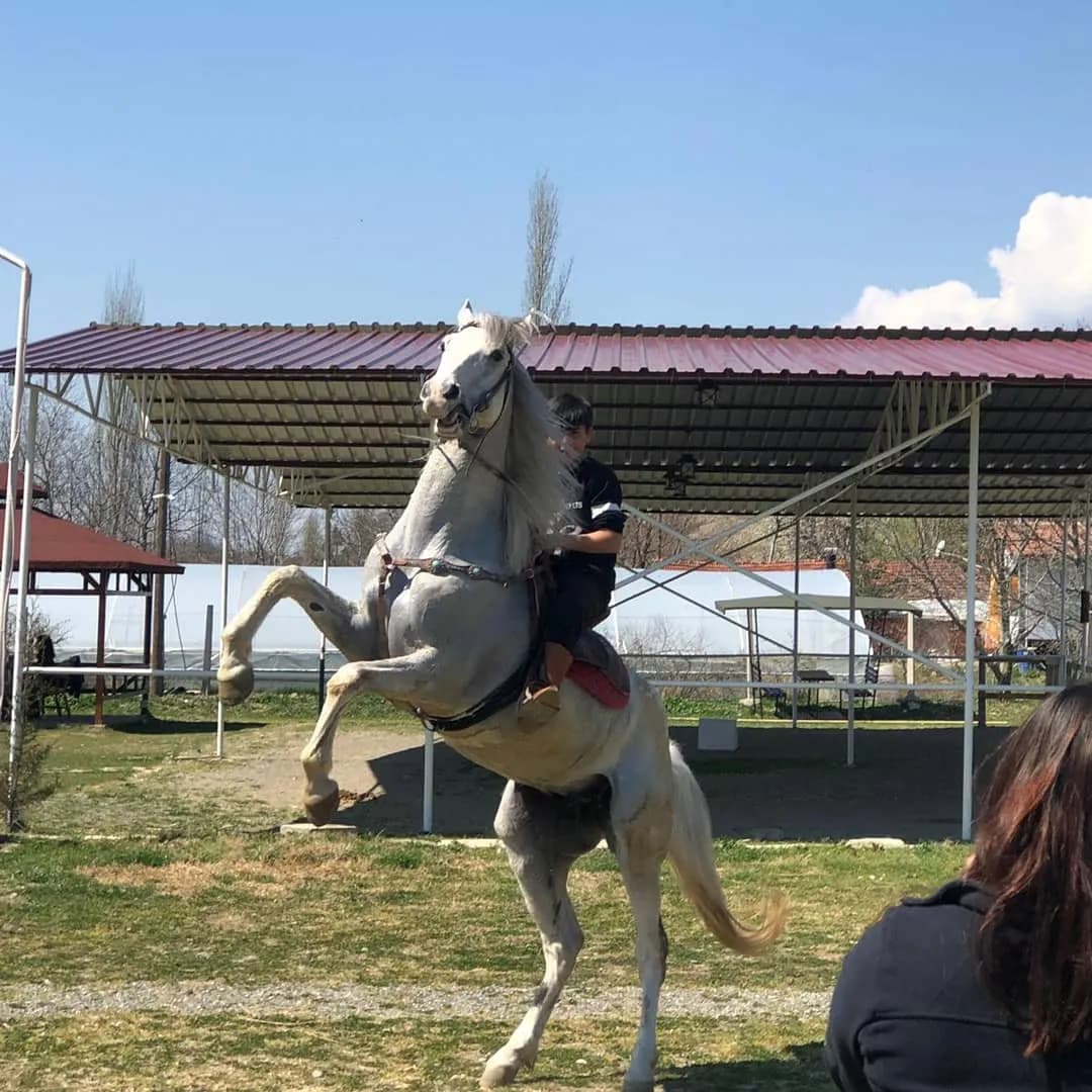 Tokat Ada Horse Atli Binicilik Okculuk klübü 2