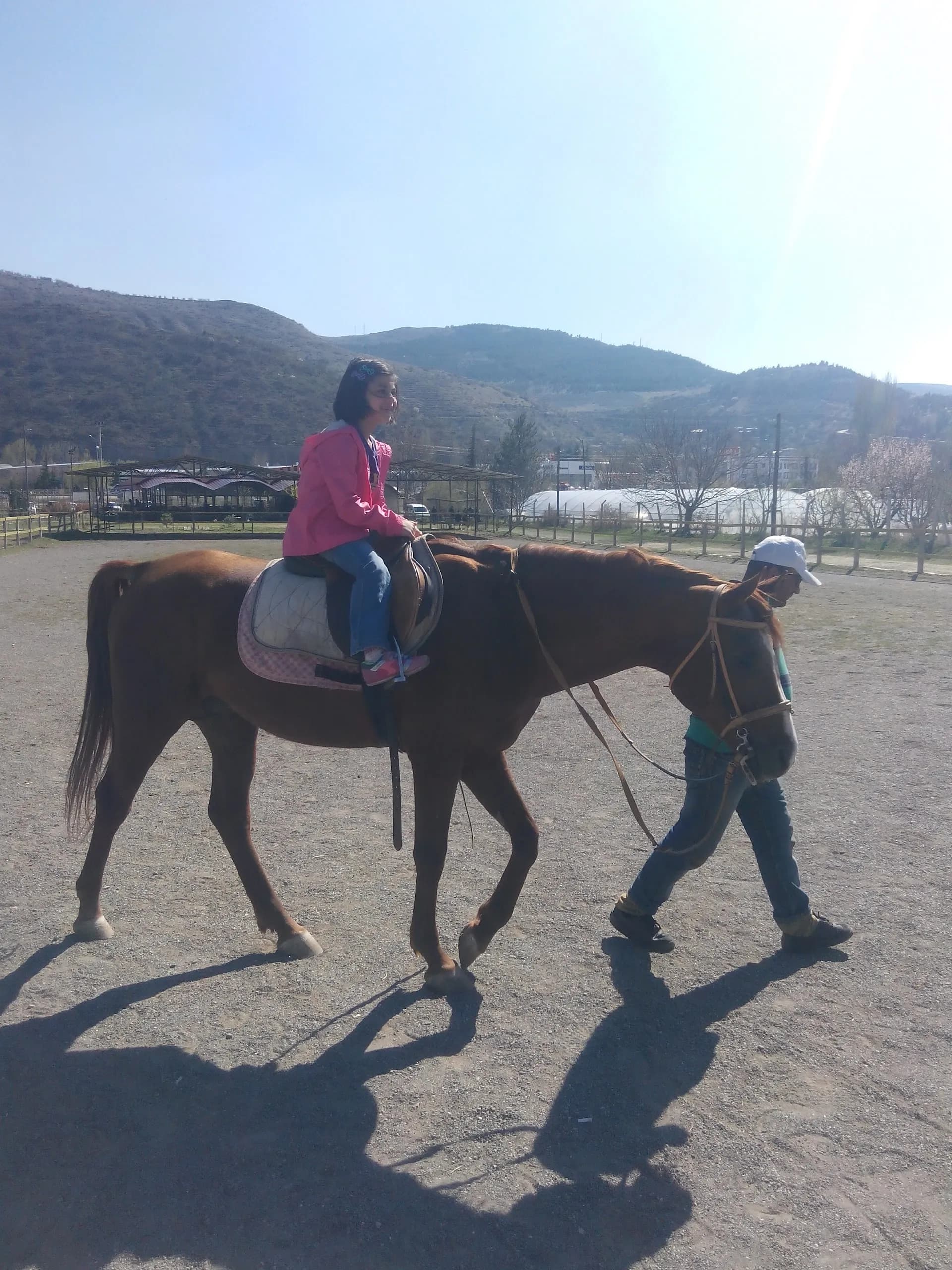 Tokat Ada Horse Atli Binicilik Okculuk klübü 3