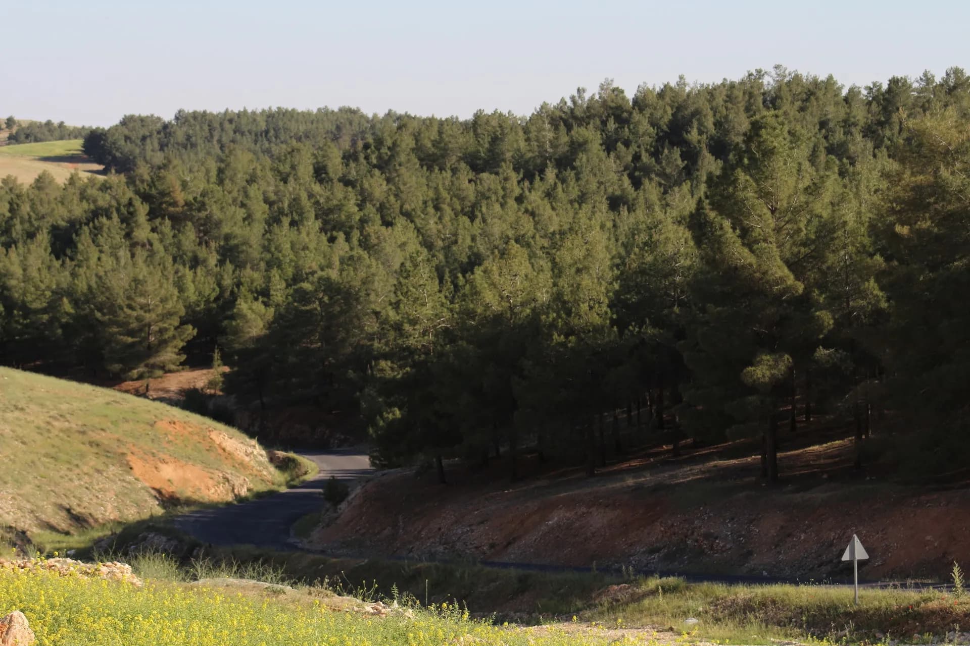 Gölpınar Tabiat Parkı