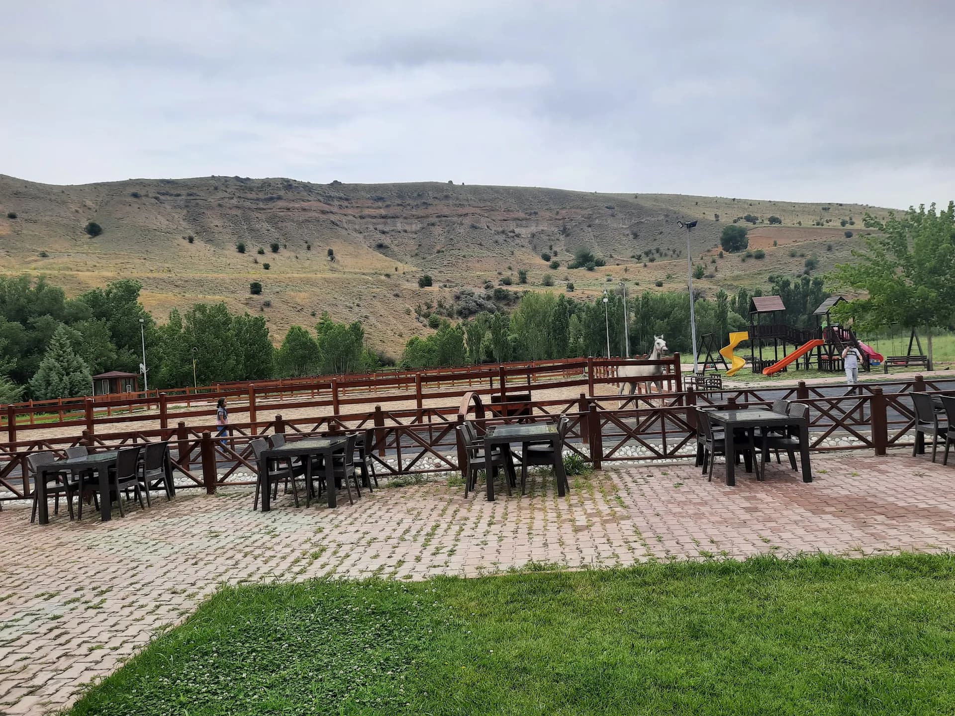 YAREN AT ÇİFTLİĞİ 3