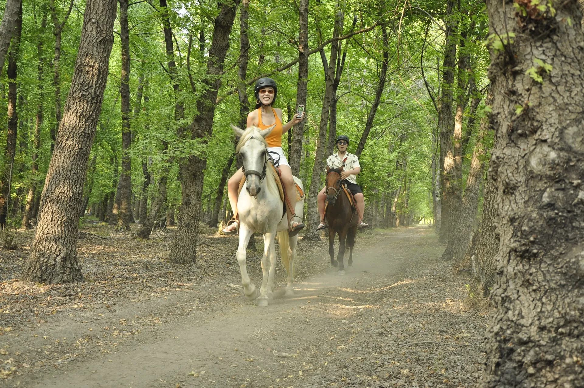 Magic Forest Horse Safari