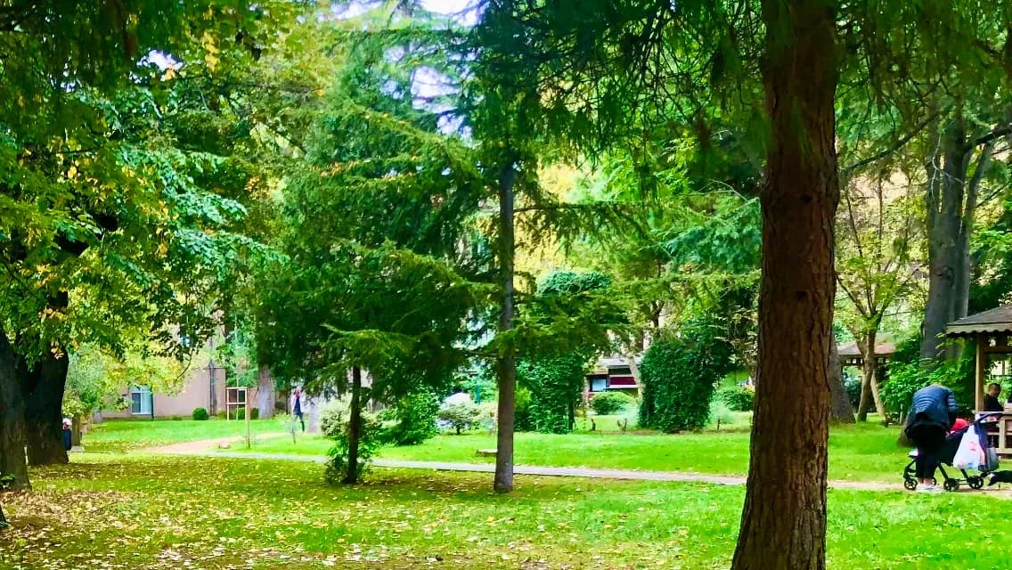Gökova Eski Ağaçlı Yol