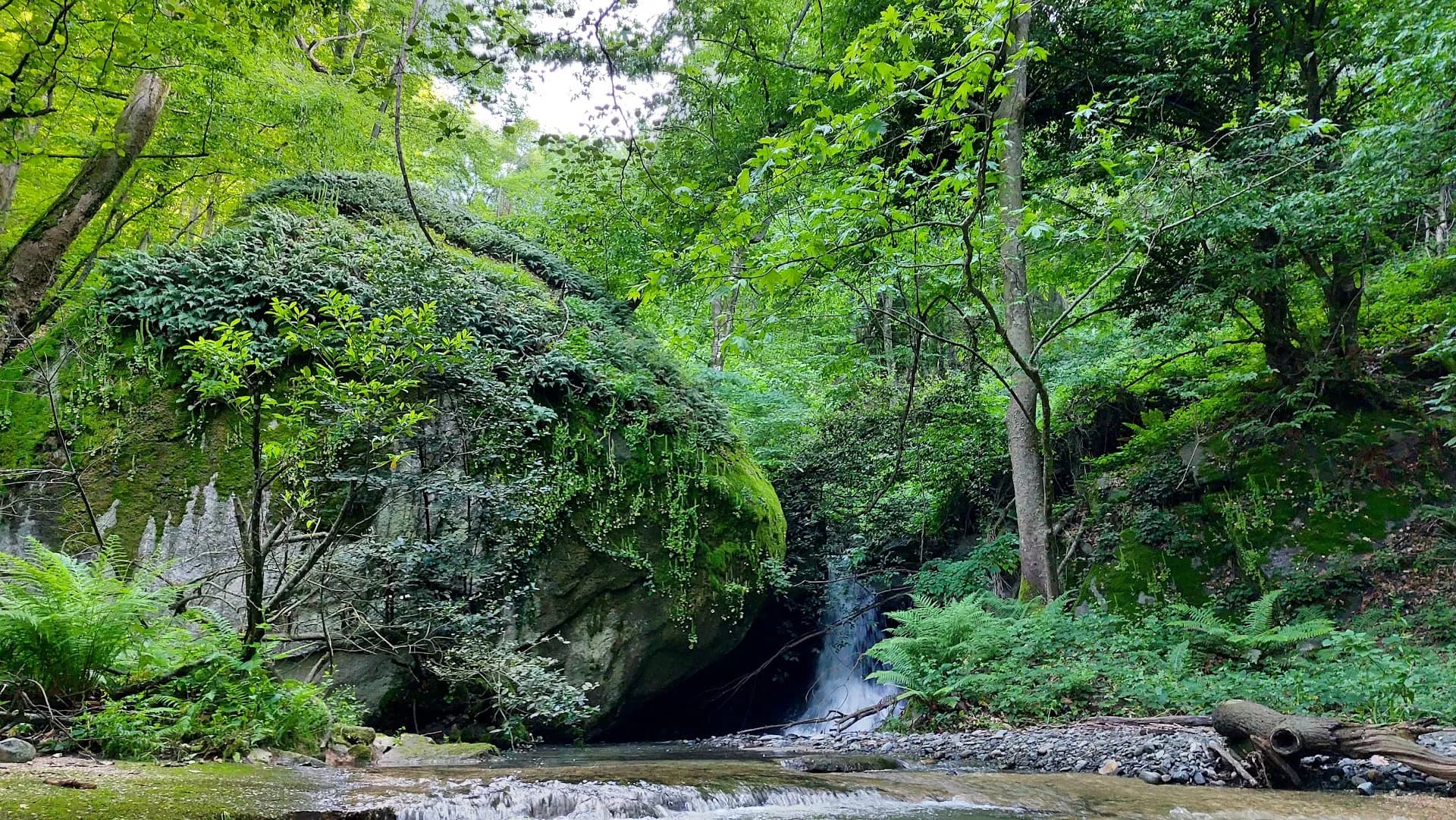 Ormanlı Şelalesi