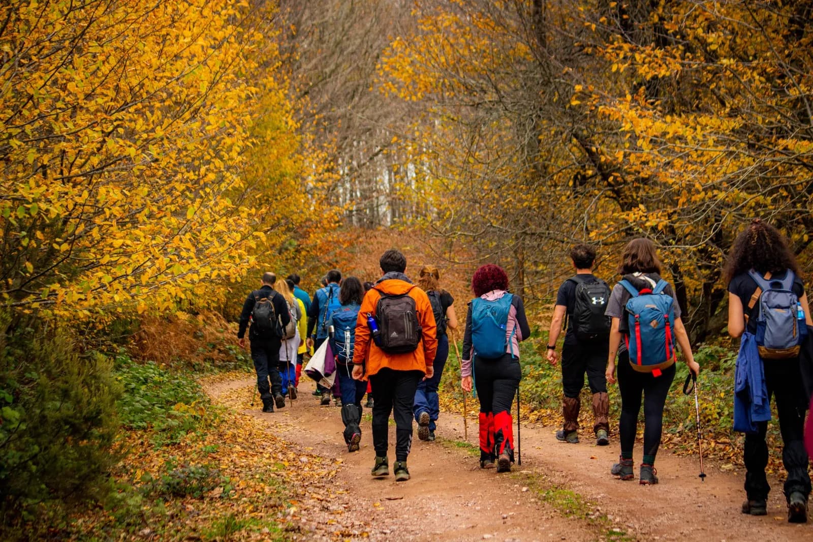Kamptrek İstanbul, Doğa Sporları, Trekking, Kamp ve Gezi Grubu
