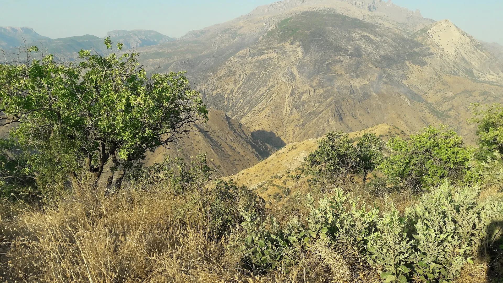 Balveren/ Şenoba Heftbori / Hezil çayı