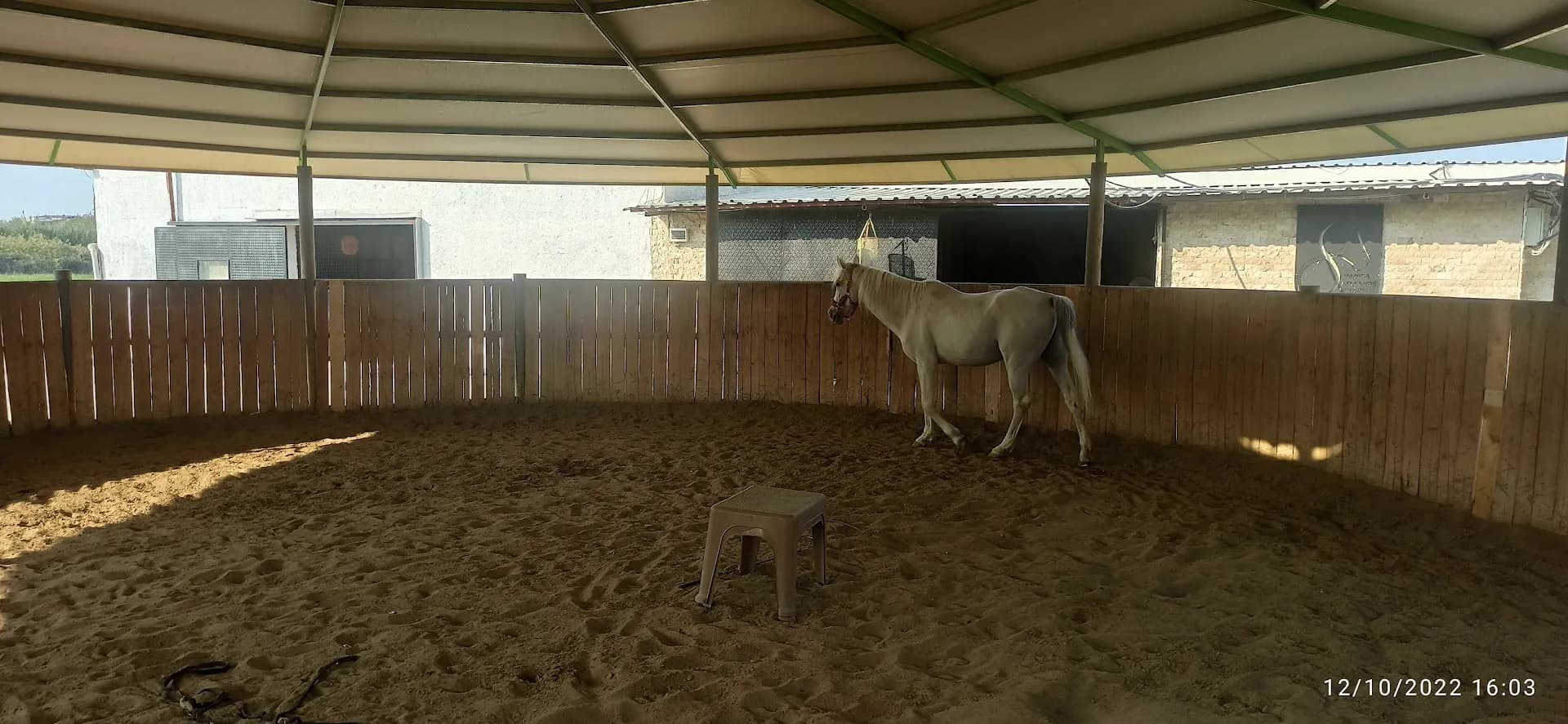Manisa Atlı Spor Kulubü 2