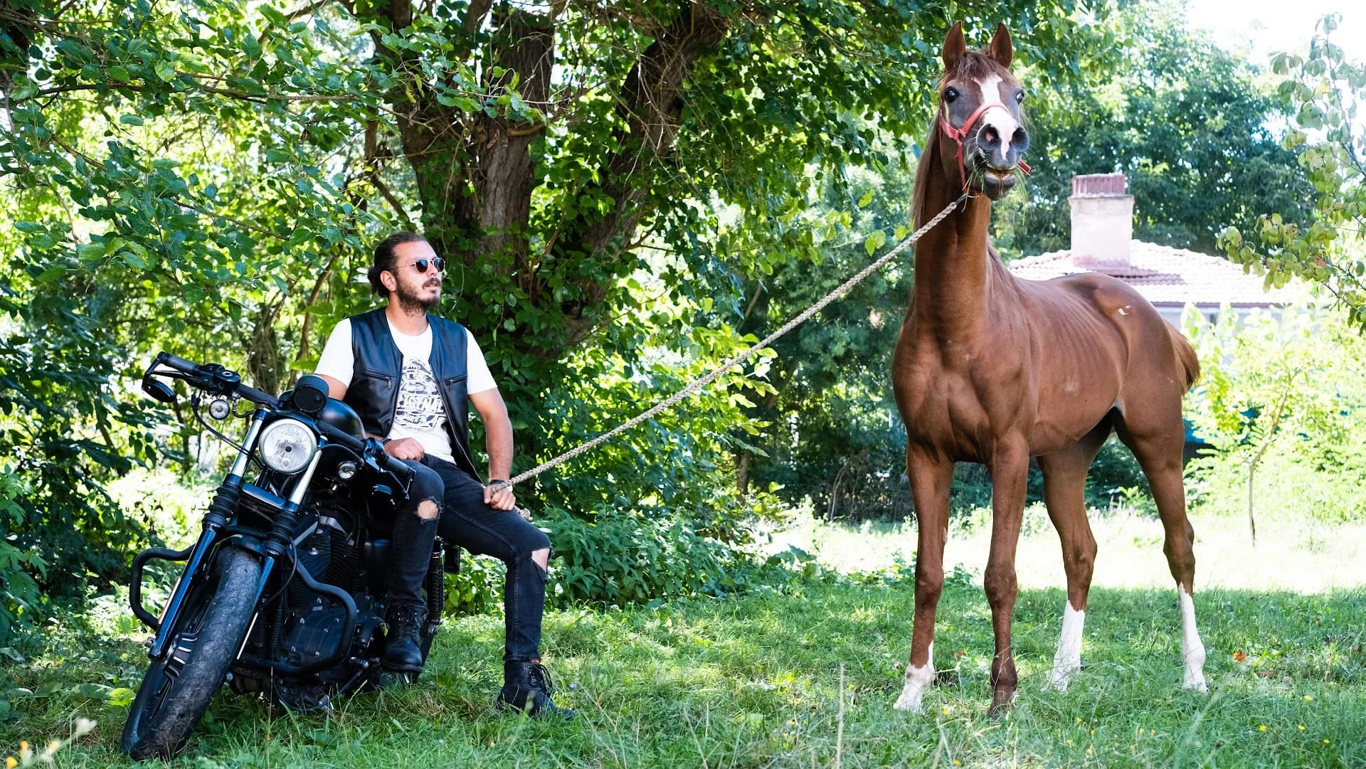 ABANT AT ÇİFTLİĞİ & AtAdam Horse Ranch 2