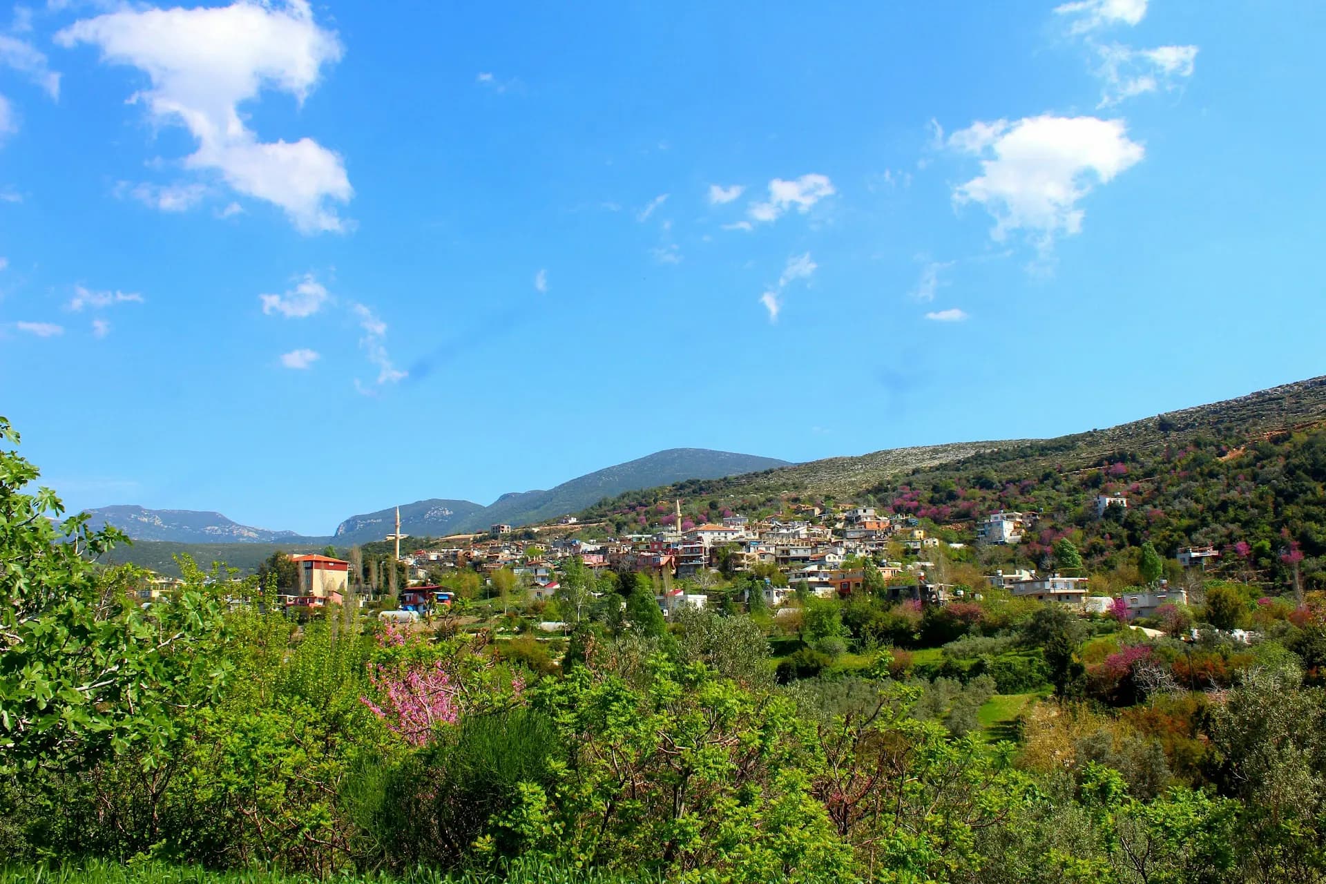 Karaköse