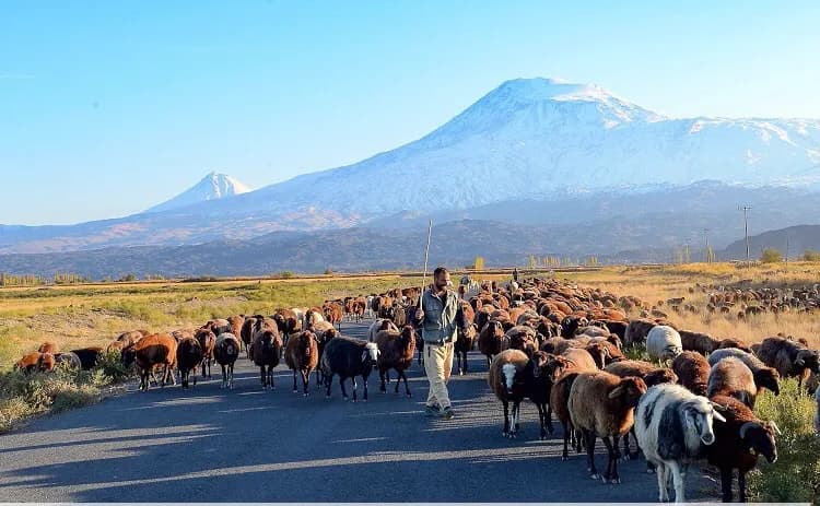 Ağrı Dağı Milli Parkı