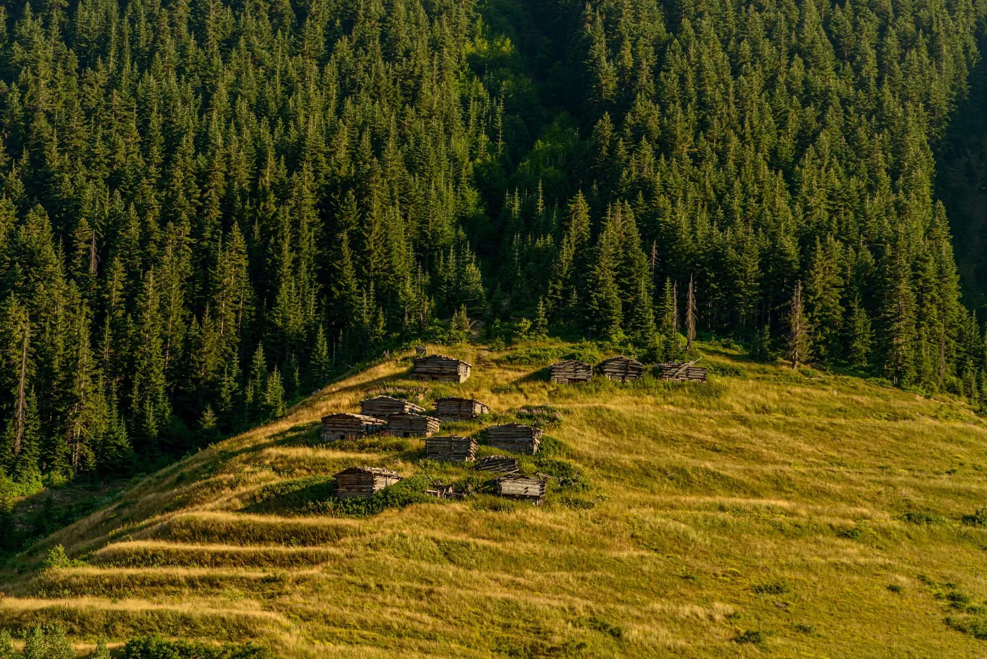 Altıparmak Tabiat Parkı 3