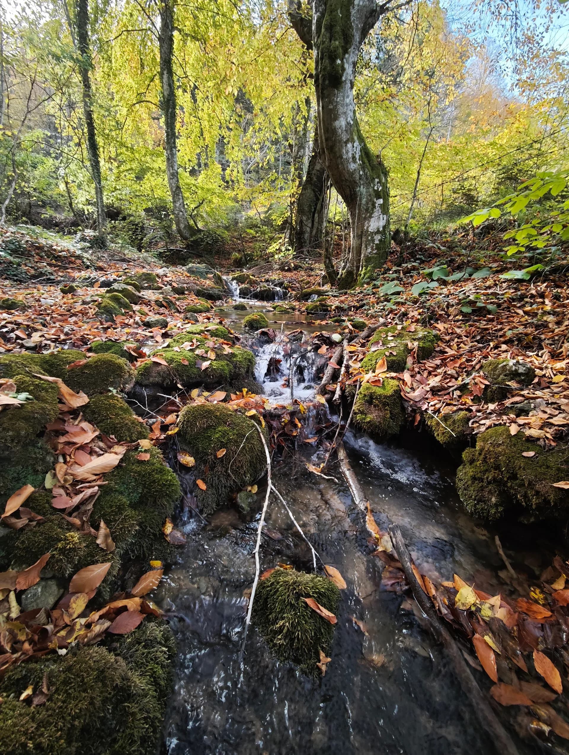 Yayılgan Deresi