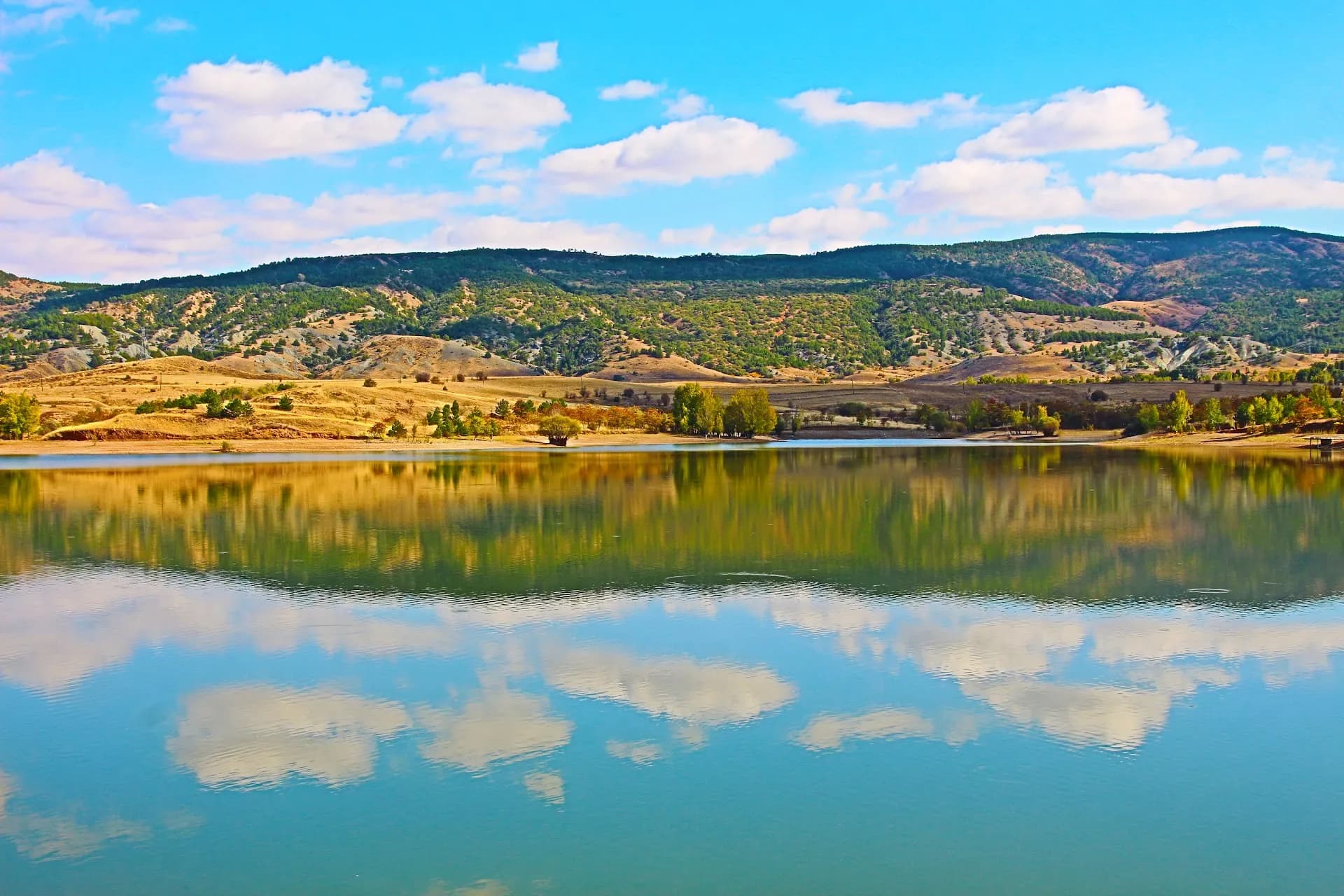 Alpsarı Göleti