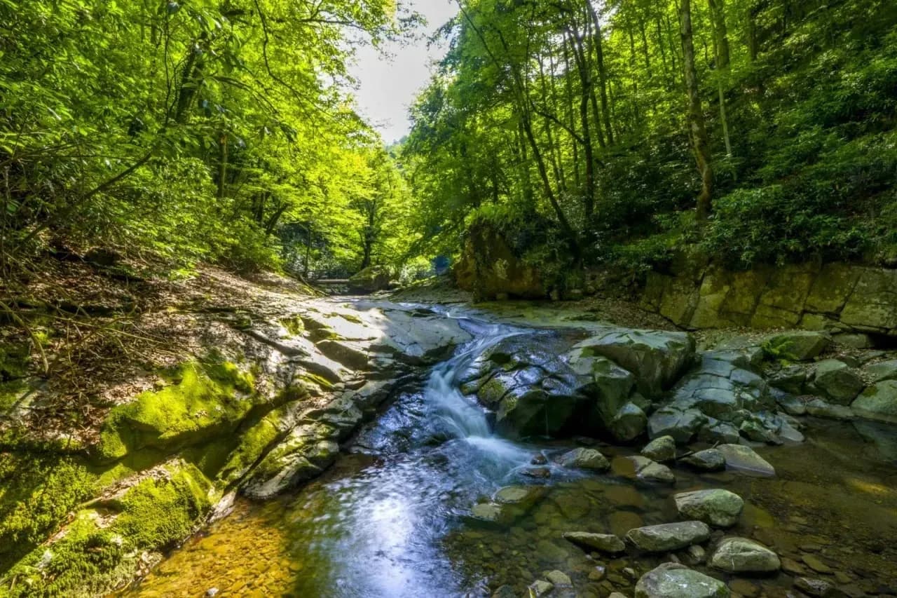 Kayalıdere Şelaleleri