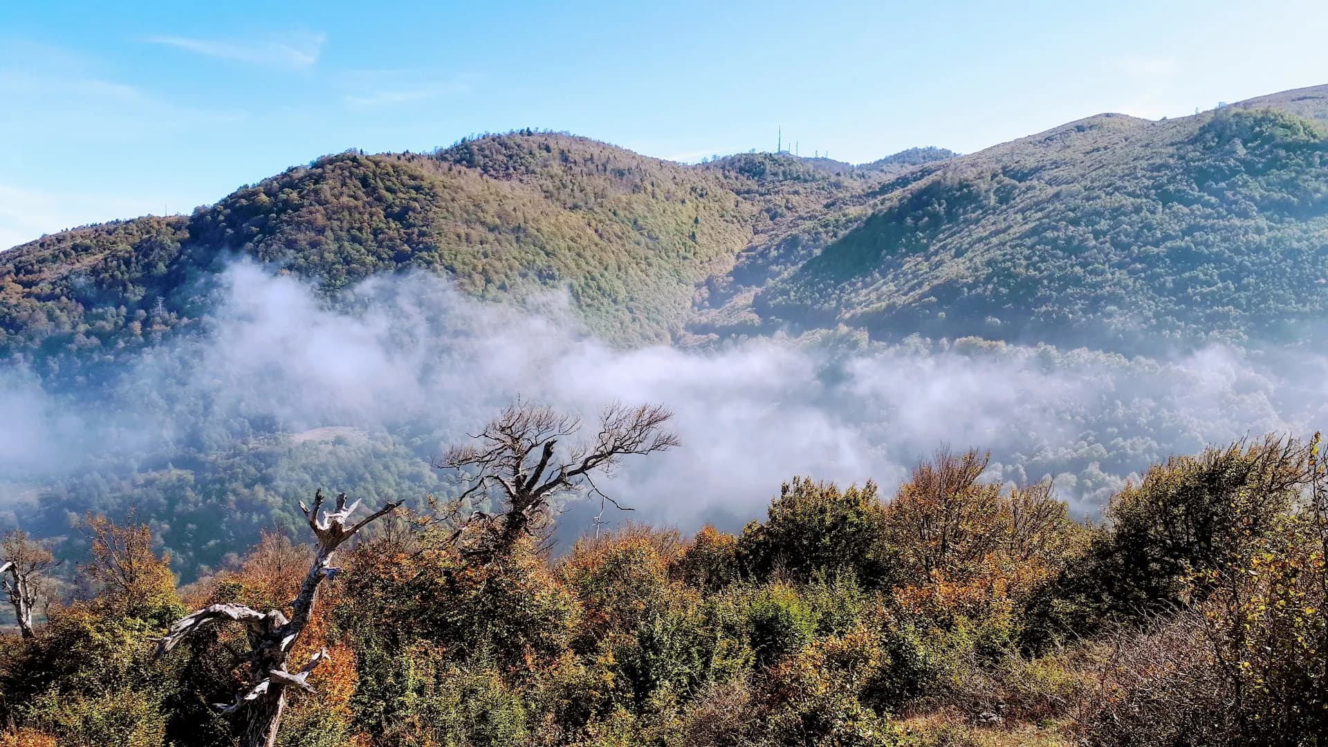 Suadiye Tabiat Parkı